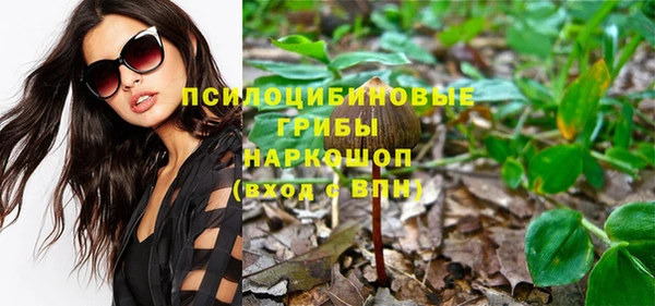 первитин Карпинск