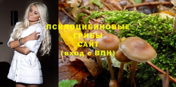 первитин Карпинск