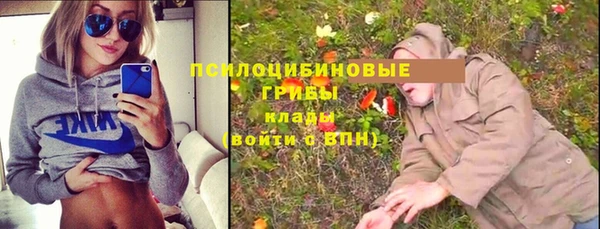 a pvp Касимов