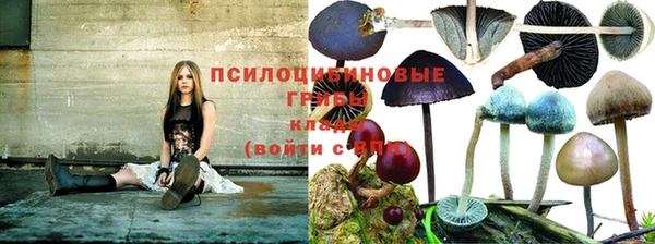 a pvp Касимов