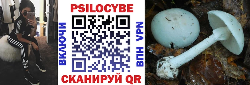 Купить  Балабаново  Галлюциногенные грибы мухоморы 
